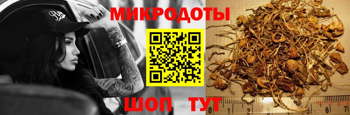 Галлюциногенные грибы Cubensis Саратов
